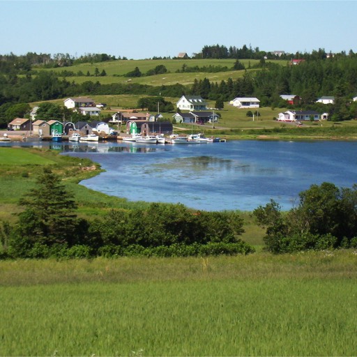 Grass sloping in the foreground to a body of water. In the background, buildings and boats are next to or on the water, with the green hills gently rising in the background 
