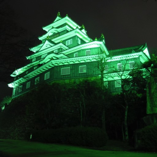Night photograph of the castle in Okayama, Japan, which is bathed in green light. 