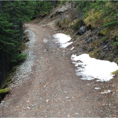 There was even a little bit of snow lingering beside the path. 